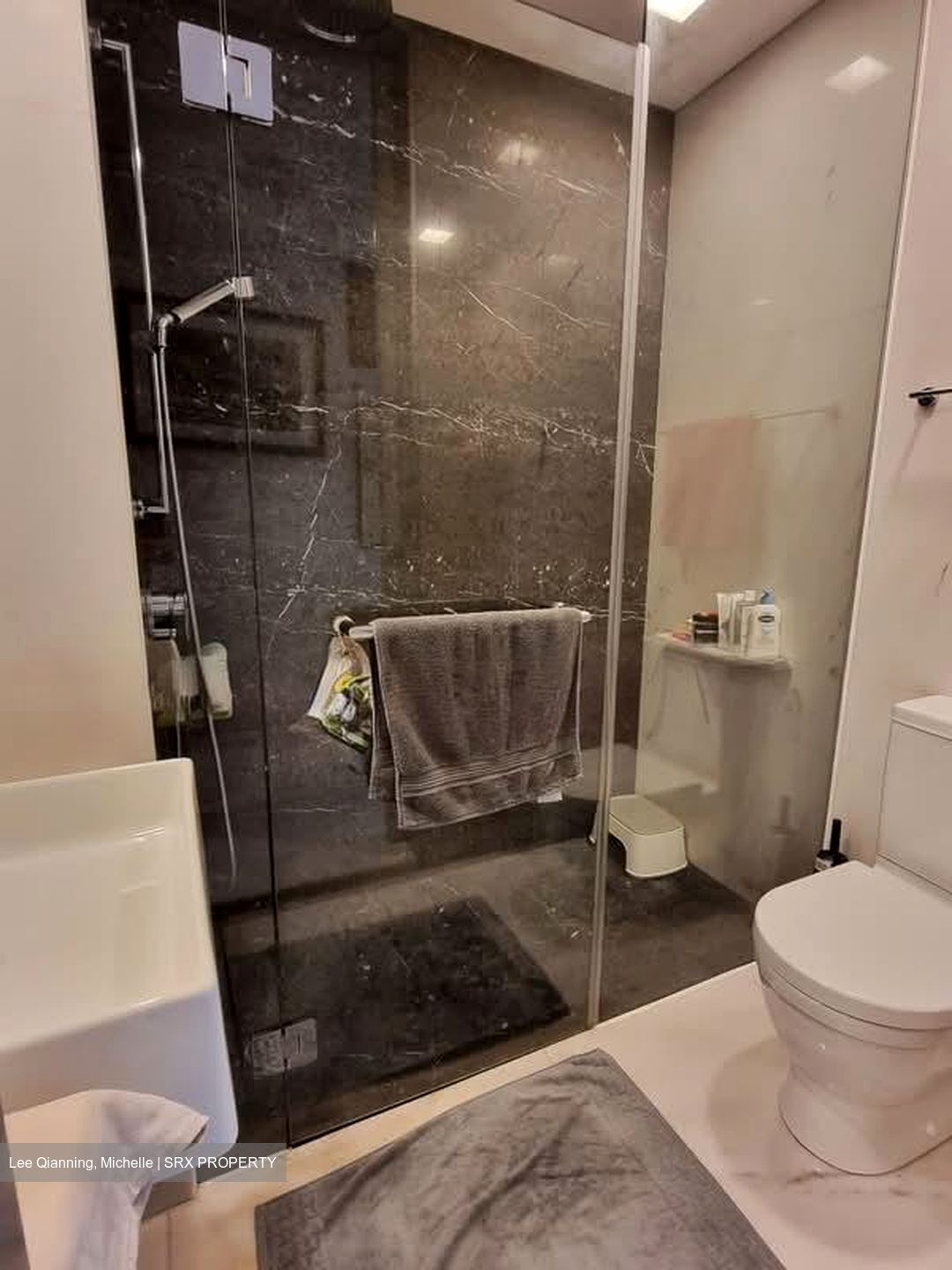 St. Regis Residences (D10), Apartment #574132001